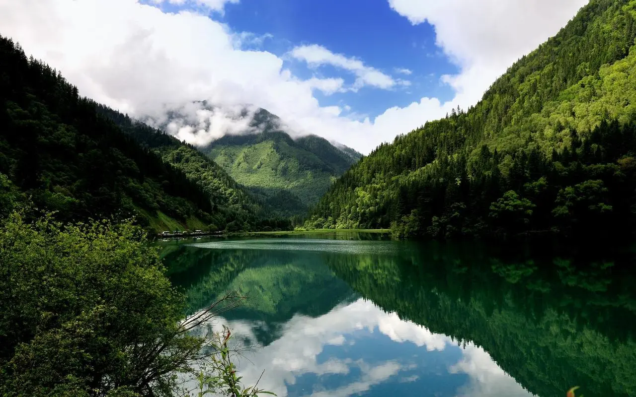 高端智能